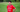 Mako Sharks Coach ---- Jinwen Cui