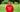 Mako Sharks Coach ---- Bruce Wang