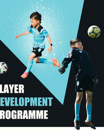 Junior Development Programme Term4